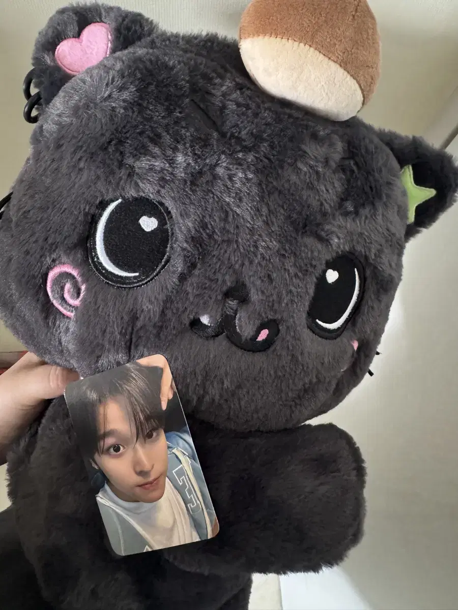 NCT | 엔시티 nct wish nct riku doll Curly Unsealed #엔시티